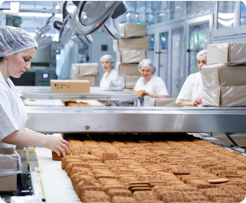 Реализация и производство отечественной продукции
